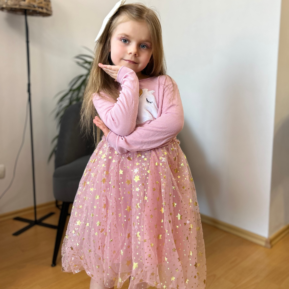 Rochie cu detalii Axela Roz