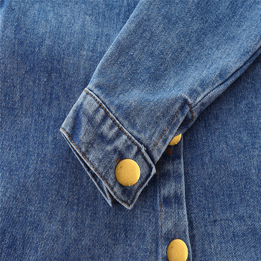 Rochie din denim Delara
